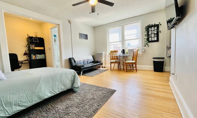 Dwight Apartment | Cozy Studio Apartment In Downtown New Haven