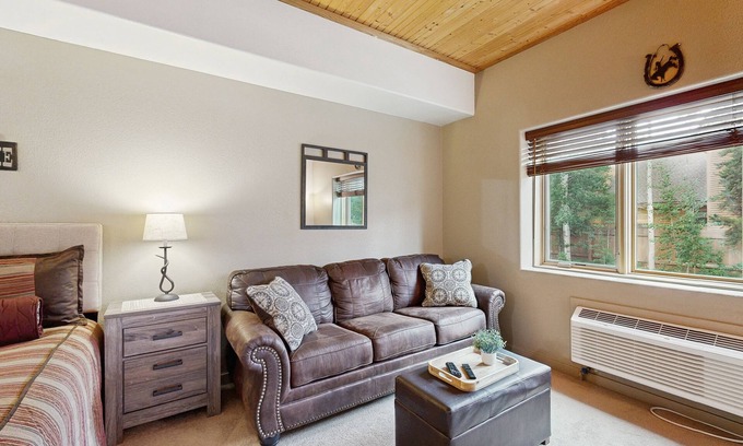 Mountain House Apartment | Cute, cozy studio with WiFi, pool & hot tub - walk to slopes