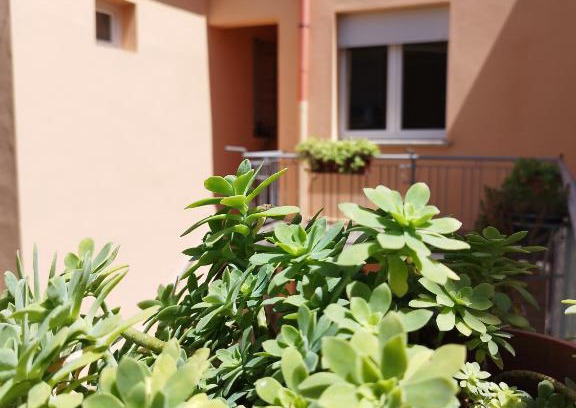 Medelana Apartment | Da Silvana