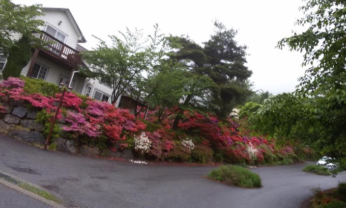 Boryeong House | Daecheon Ocean Hill Pension