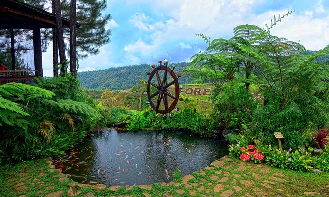 Burgos Resort | Dahilayan Forest Park Resort