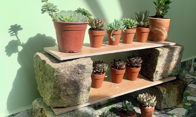 Da Lat House | Dalat hidden gem in the hẻm