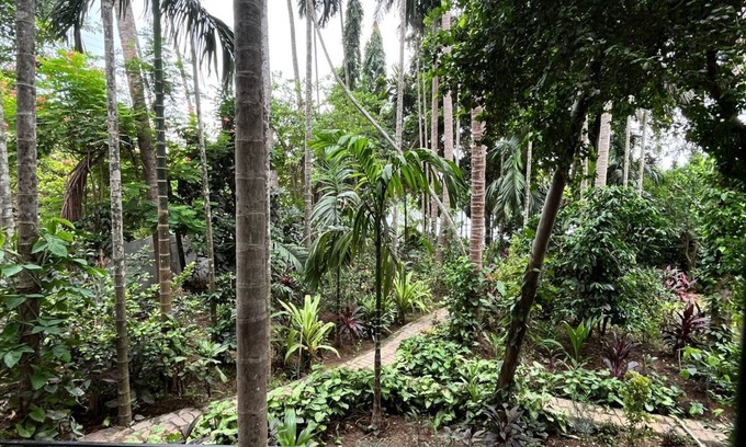 Dandeli Bed & Breakfast | DANDELI RIVER NEST