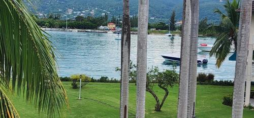 Montego Bay Apartment | Dejai On The Bay