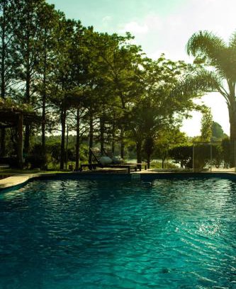 Colonia Ayui House | Der Hase I