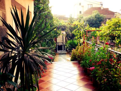 Korce Bed & Breakfast | Diana Guesthouse
