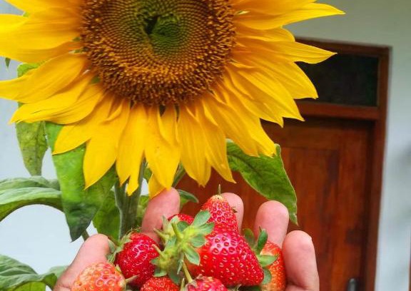 Haputale House | Dinu's Home Stay