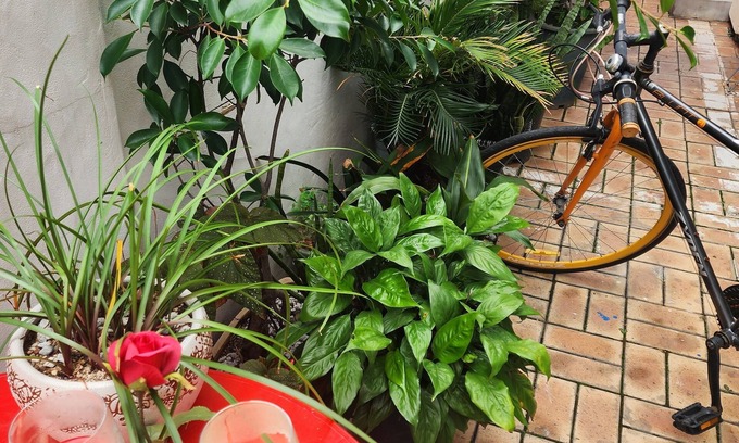 Imhak-dong House | Disco PangPang GuestHouse