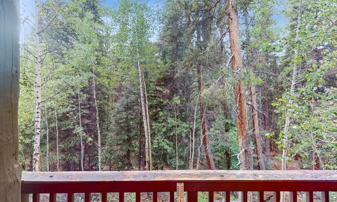 Keystone Condo | Dog-Friendly Keystone Condo w/Shared Pool & Hot Tub - Near River Run & Downtown