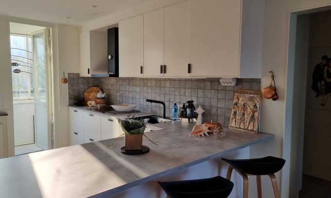 Centrum Apartment | Doktor Forselius Gata 16