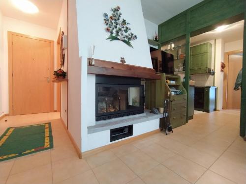 Rocca Pietore Apartment | Dolomites Soundscape - Birds River Snow Ski Bus Bike Hike