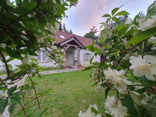 Pieniezno House | Dom na Warmii -Siedlisko Jabłonka