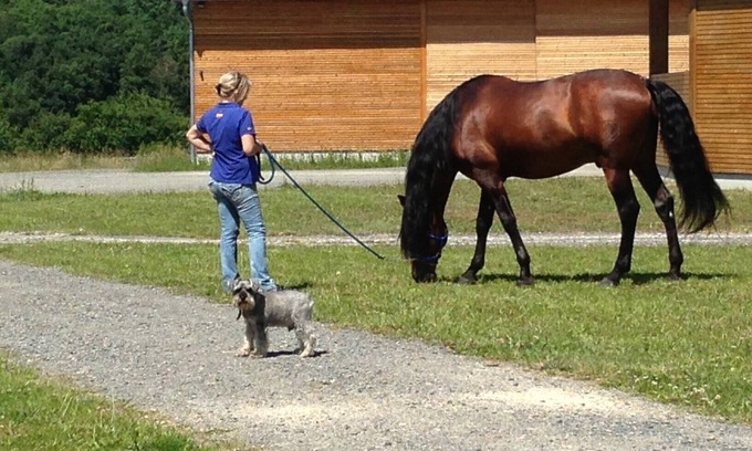 Saumur Apartment | Domaine Équestre