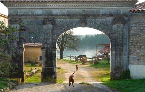 Marsac Hotel | Domaine De Chantemerle B'nB