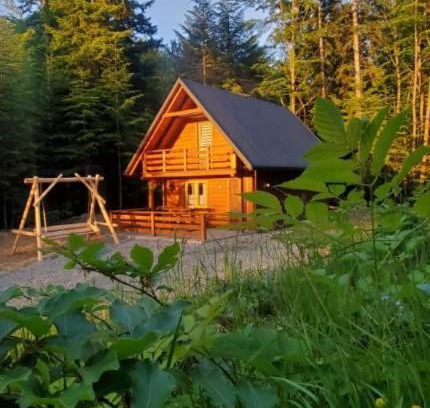 Przyborow House | Domek Polana Przyborów