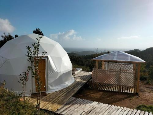 Los Muermos House | Domo con tinaja, Estaquilla