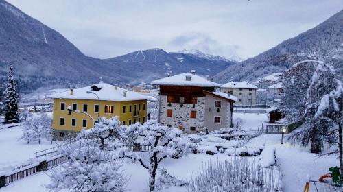 Terzolas Apartment | Domus Anicio - Spazioso Loft con Giardino