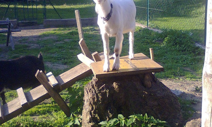 Klagenfurt am Woerthersee House | Doppelzimmer, Dusche Oder Bad, WC, 1 Schlafraum - Pension Biedermann
