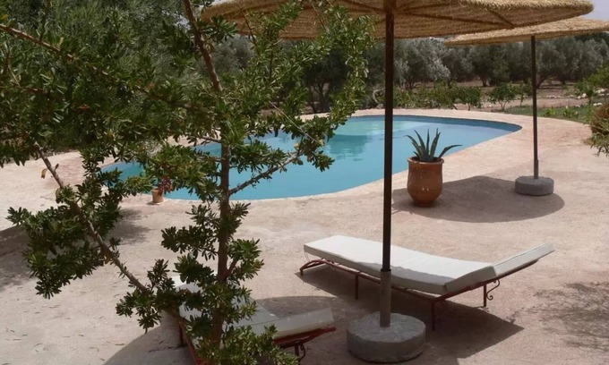 Ounagha House | Douar des Oliviers