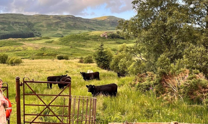 Crianlarich Cabin | Double Room, Crianlarich, whw