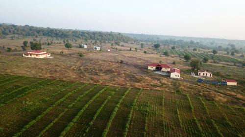 Pandharkawada Cabin | Dr Bones jungle home Tipeshwar wildlife sanctuary