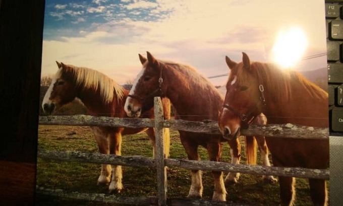 Marlinton House | Drennen Ridge Farm Guest House
