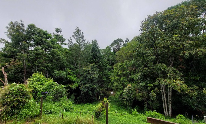 Maleny Cottage | Duckbills Cottage has the convenience of town living but with rural nature feel