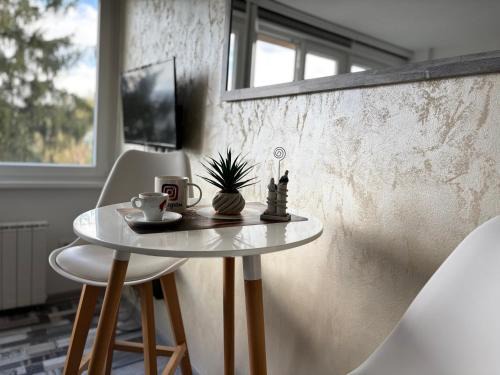 Ilidza Apartment | Dva Galebaa