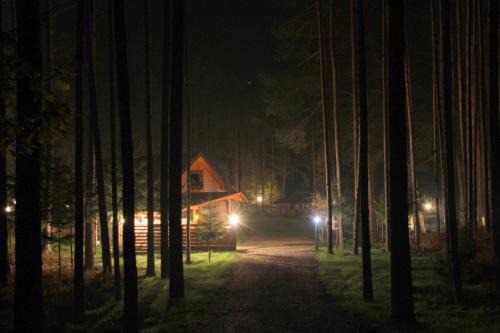 Alytus county Apartment | Dzūkų sodžius