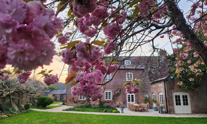 Blandford Saint Mary House | Eclectic Dorset Country House, Hot Tub, Pool Table, Movie Room,12 guests & pets