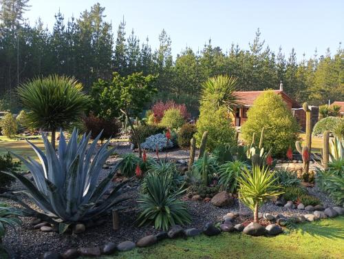 Algarrobo Ski Chalet | Eco Cabañas Algarrobo