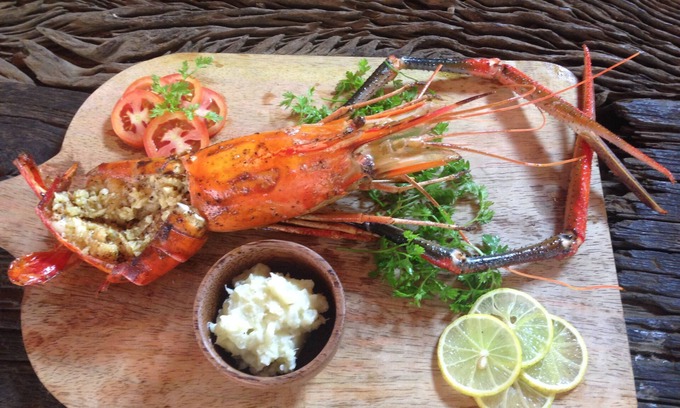 Hambantota Resort | Eco Resort with Elevating and Unique Experience