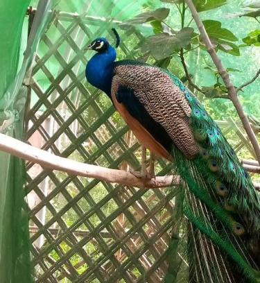 El Bour Bed & Breakfast | Ecogite La Tourterelle - B&B