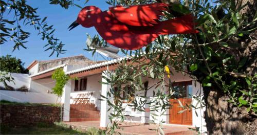 Mertola House | Ecoland Casa de Campo
