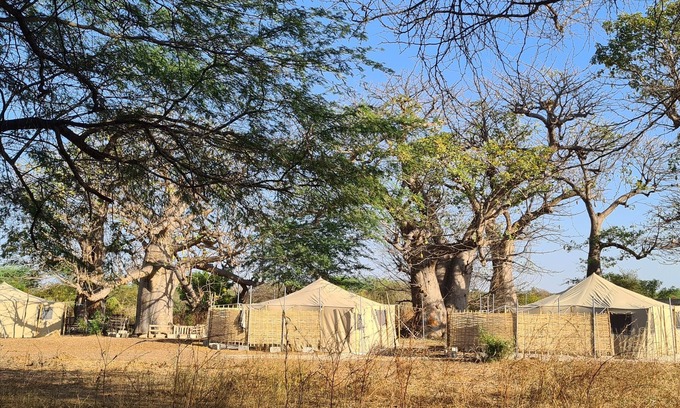 Mbodiene Other | Ecolodge BAKSUNGAN