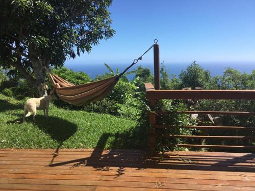 La Montagne House | Ecolodge vue Océan Indien