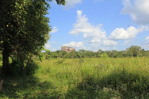 Sigiriya Cabin | Ehalagala Lake and Paddy view Lodge