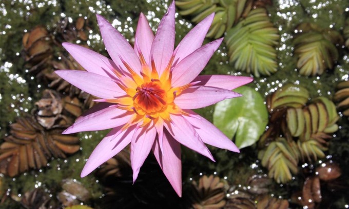 Belen de Escobar House | El Solar de Belén