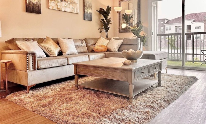 Southeast Houston Apartment | Elegant King Bed NRG/Hobby Airport Area