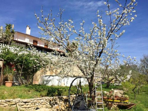 Treglio Villa | Elegant Villa in Treglio with Private Pool