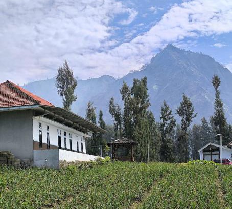 Ngadisari House | Elen Homestay by ABM