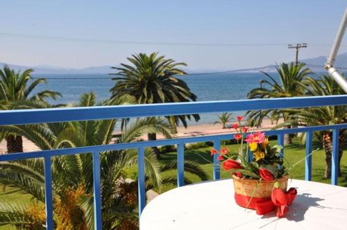 Xirolivado Hotel | Elena Hotel