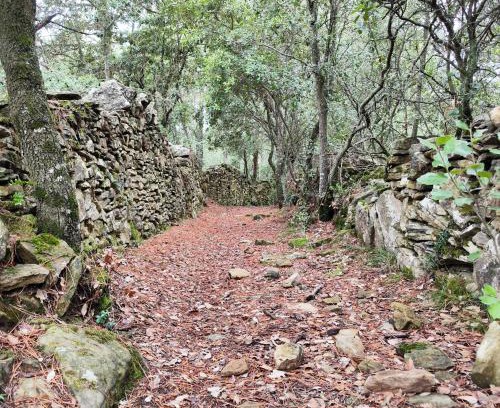 Castelltercol Apartment | Els Sifons