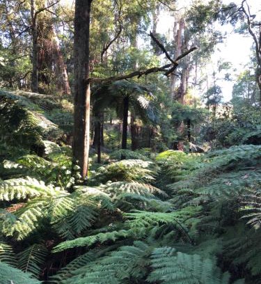 Emerald Cabin | Emerald Creek Cottages