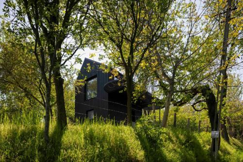 Baiculesti Ski Chalet | Enache's 217