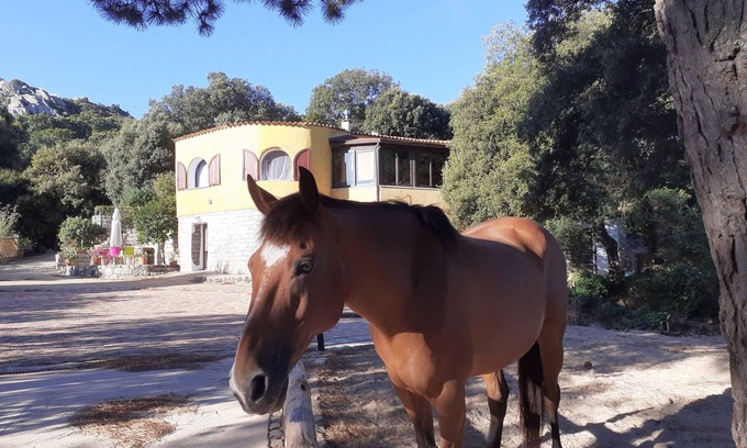 Aglientu Villa | Enchanting Country Villa in a Lush Valley with Animals, Pool, Outdoor Jacuzzi