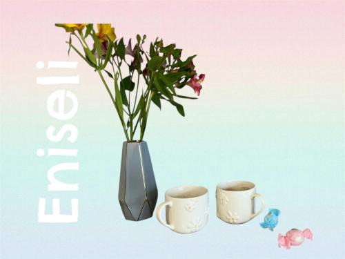 Kobuleti Hotel | Eniseli