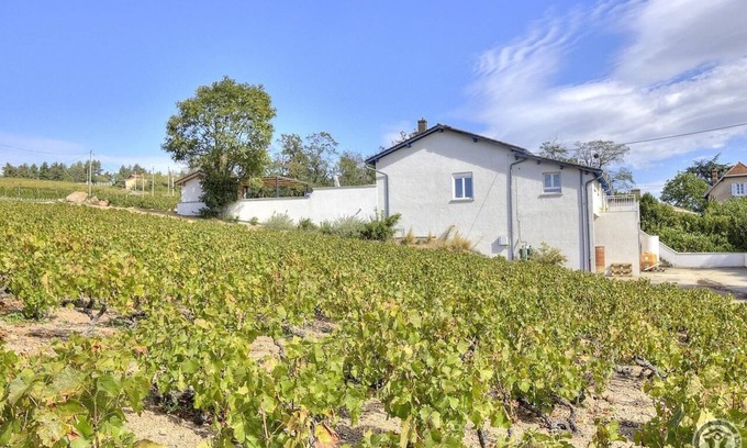 Saint-Etienne-la-Varenne House | Envol et Vigne - Saint Etienne LA Varenne