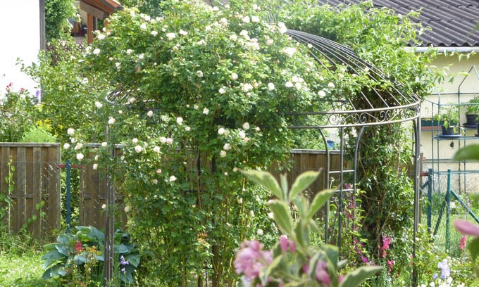 Dennach Apartment | Enzkreisspitze garden apartment