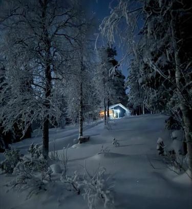 Posio Apartment | Erämökki Villa - Lumo